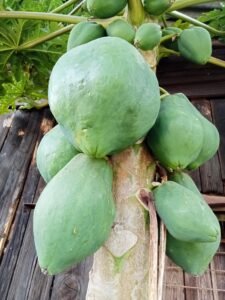 476807056 648048707748976 5341825762974955173 n